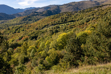 Fototapeta premium landscape in the mountains