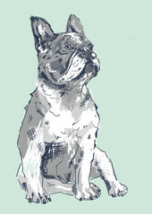 French bulldog watercolor