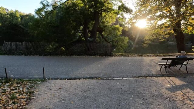 Plan de vue d'une all&eacute;e de balade dans un parc en fin de journ&eacute;e, 119,88fps ralenti X4 - 29,97fps