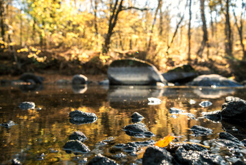 A misty morning at a small lake with a calm blue lake and stones and trees in the foreground and the sunrise behind the forest in the background.