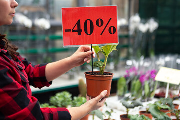 Anonymous woman holding pot with flower and plate with discount in it.