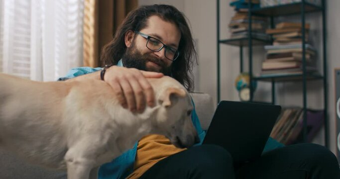 Man works remotely from home. He uses laptop to fulfill duties from work. Men has furry four-legged friend next to him. Cream-colored dog obeys boyfriend's commands accompanying him through afternoon.