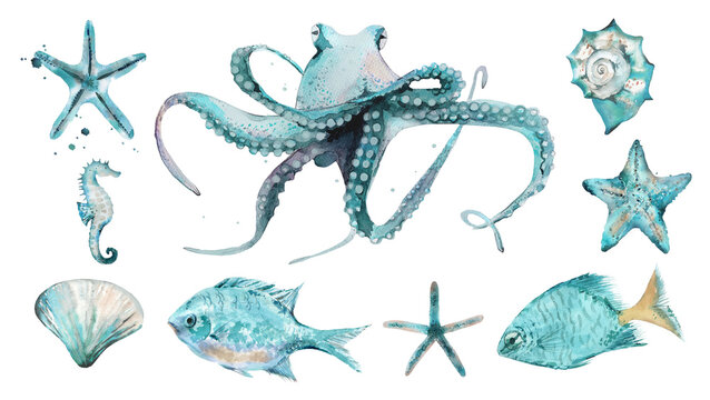 Watercolor Underwater Sea Art Marine life Set illustration isolated on white background.