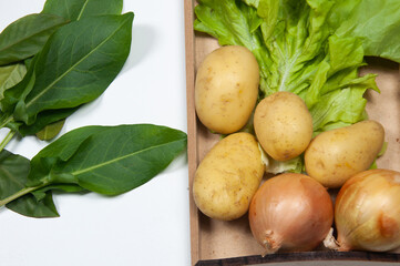  raw vegetables on wooden table