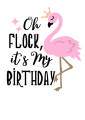 Oh flock, it's my birthday quote. Pink flamingo print. Transparent background
