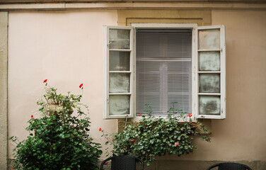 Fototapeta na wymiar wooden window with blinds and shutters view from the street