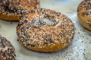 Close-up of freshly baked bagels with seeds on top. Selective focus.