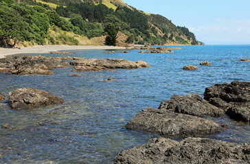 Fototapeta na wymiar Volcanic rock on the beach - New Zealand