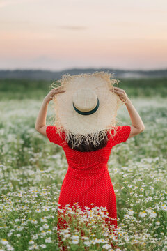 Daydreamer Images – Browse 2,590 Stock Photos, Vectors, and Video