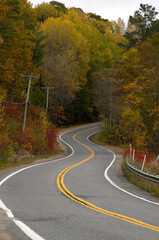 Fototapeta premium Fall Season Rural Curved Road in the Forest