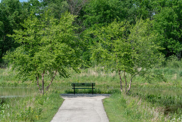 Obraz premium A Path Leading To A Bench By The Pond