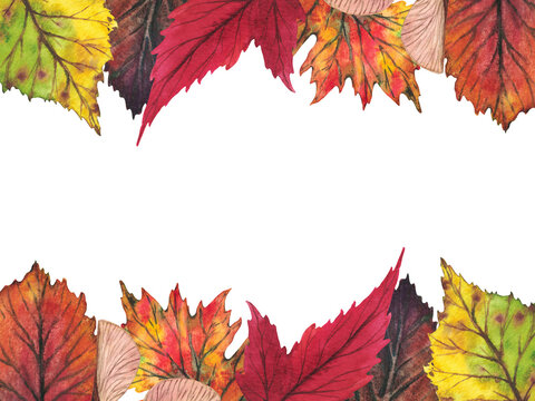 Watercolor banner of leaves isolated on white background. Autumn illustration.