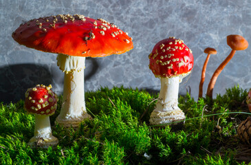 red fly agaric on green moss