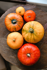 A set of pumpkins of different sizes on a wooden table. Autumn pumpkin crop view from above.
