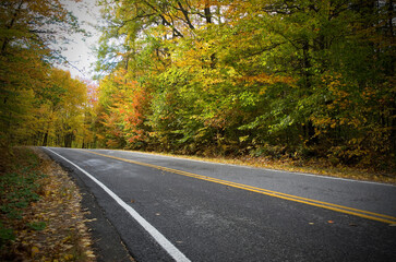 Fototapeta premium Horizontal View of Country Road during Autumn