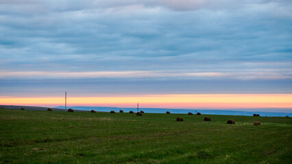 Fototapeta premium Sunset colored sky over green fields with with hay bales and utility poles