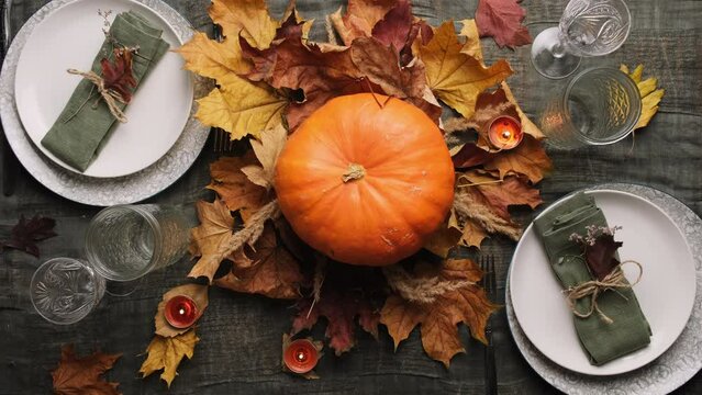 Woman decorates dinner table with pumpkin for thanksgiving celebration.