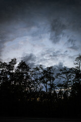 evening landscape silhouette of trees and stormy low sky