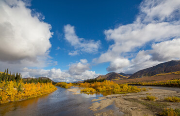 Autumn in polar tundra