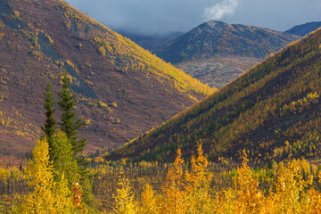 Fototapeta premium Autumn in polar tundra