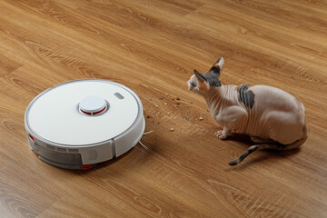 Robotic vacuum cleaner and cute Sphynx cat on wooden floor