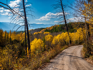 Road Out of Bowman Lake