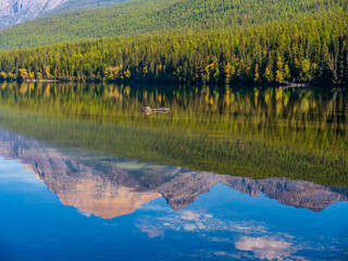 Bowman Lake Mountain Reflection