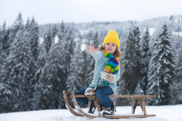 Child boy sledding in winter, playing with snowball. Kid riding on snow slides in winter. Winter christmas forest with falling snow and trees. - obrazy, fototapety, plakaty