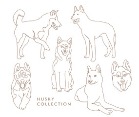 Husky Collection - Vector Illustrations - Outline 