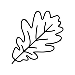 Oak leaf icon for autumn season in black outline style
