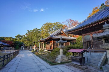 Fototapeta premium 静寂に包まれたお寺の広い境内の秋の情景＠香川