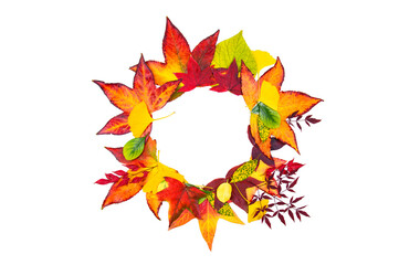 Autumn leaves frame for design banners, leaflets, posters with space for your text. Fall leaf border, autumnal background. Autumn maple leaves isolated on white. Falling leaves natural background.