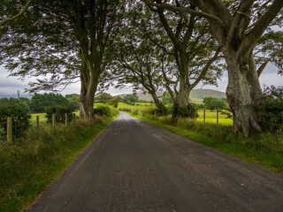 Fototapeta na wymiar Lake District road in the countryside