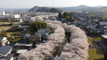 view from the top of the hill