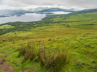 View of Loch Lomond Across Fields