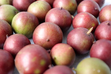 Flacourtia inermis, known commonly as lovi-lovi. Red Fruits