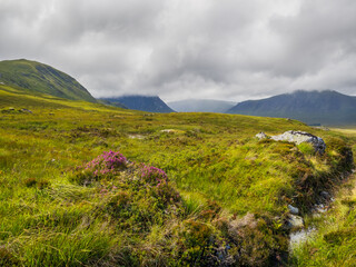 Glencoe View