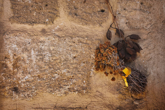 A bunch of Dried St. John's Wort flower  and dried leaves hung on an old stone wall. Autumn wallpaper