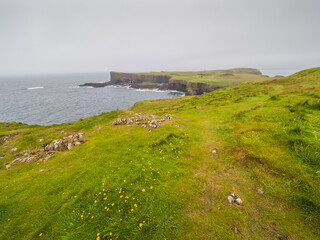 Staffa Island Views