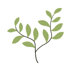 Simple leaf flat illustration for template elements