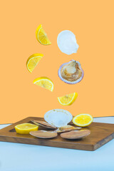 Livitated raw scalops in shells and sliced lemon