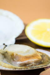 Close up on fresh raw scallops in shell with lemons