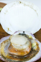 Close up on fresh raw scallops in shell with lemons