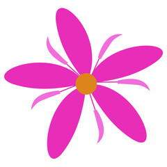 Beautiful romantic flower, leaves, floral bouquets, flower compositions, Beautiful romantic flower collection with roses, leaves, floral bouquets, flower compositions