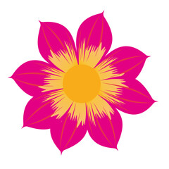 Beautiful romantic flower, leaves, floral bouquets, flower compositions, Beautiful romantic flower collection with roses, leaves, floral bouquets, flower compositions