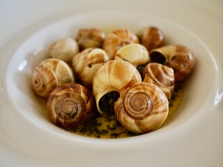 Tasty French Escargots snails in a white fine china plate