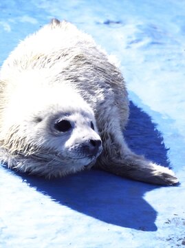 11ibsut22i7zom 11ibsut22i7zom