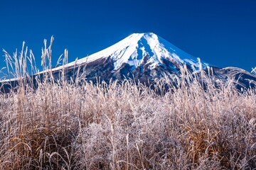 富士山と冬景色
