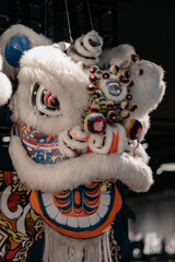 Chinese style dragon