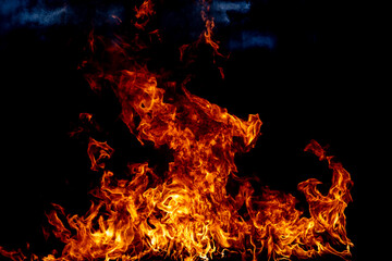 Fototapeta na wymiar The fire, burning flame. Large burning flaming fire.